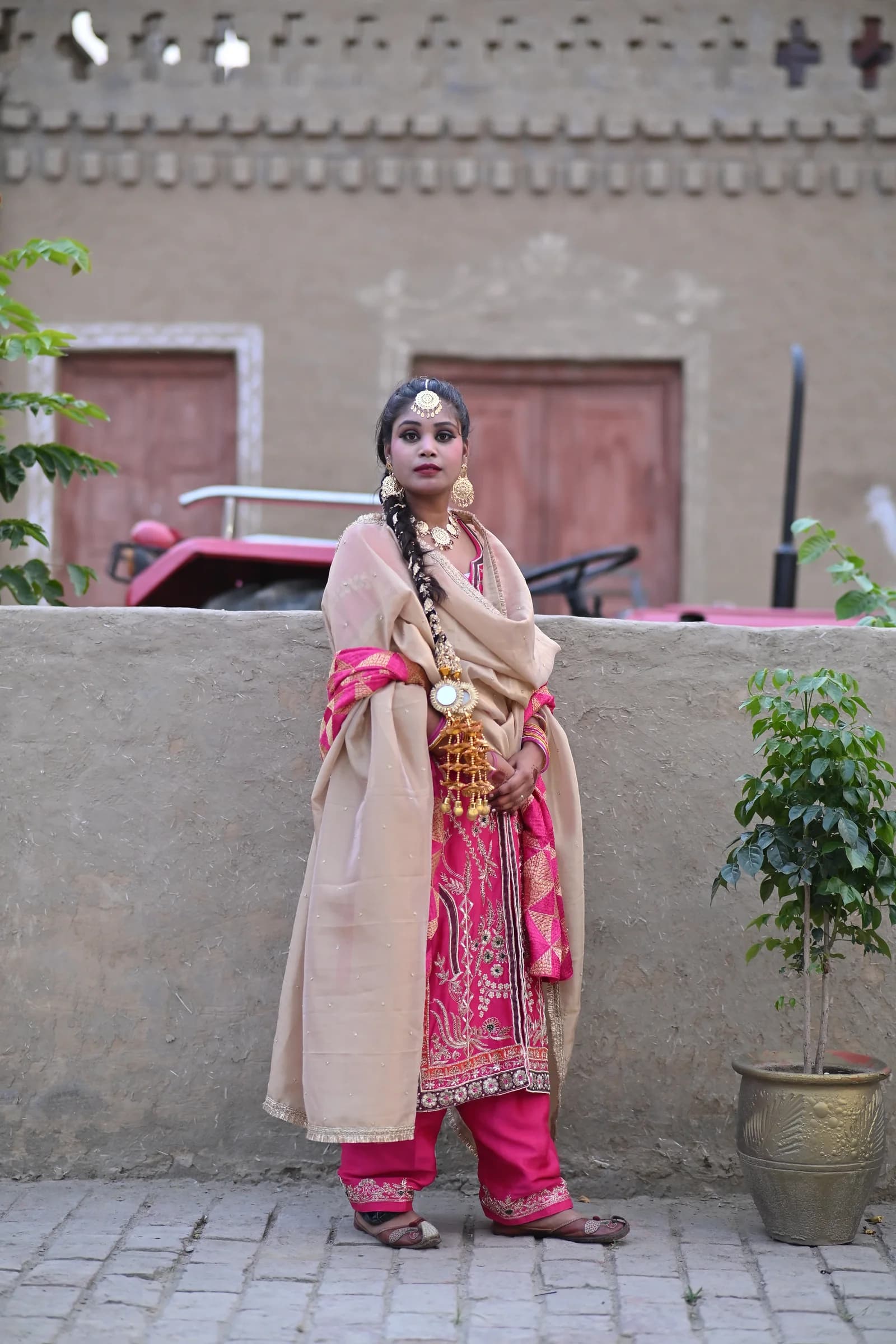 Noorani Rani Pink & Champagne Gold Zardozi Punjabi Salwar Suit — alternate view