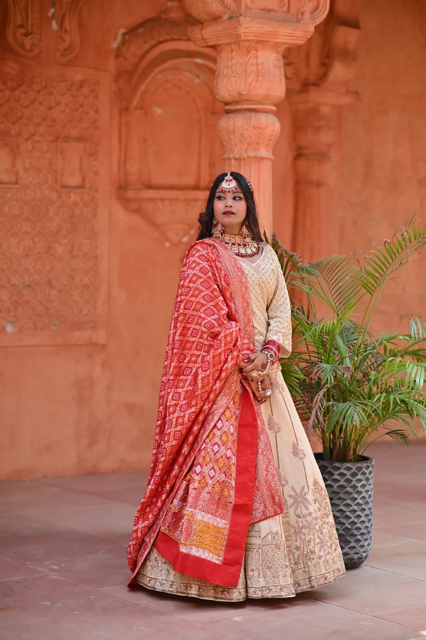 The Saree Edit